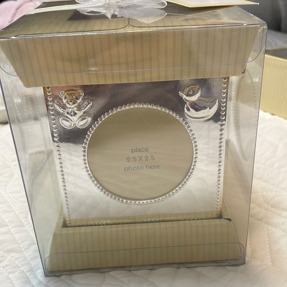 First impressions photo silver bank